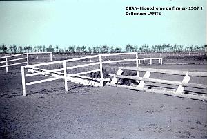 Oran- Le figuier 34a